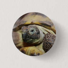 Tibbs Ronde Button 3,2 Cm