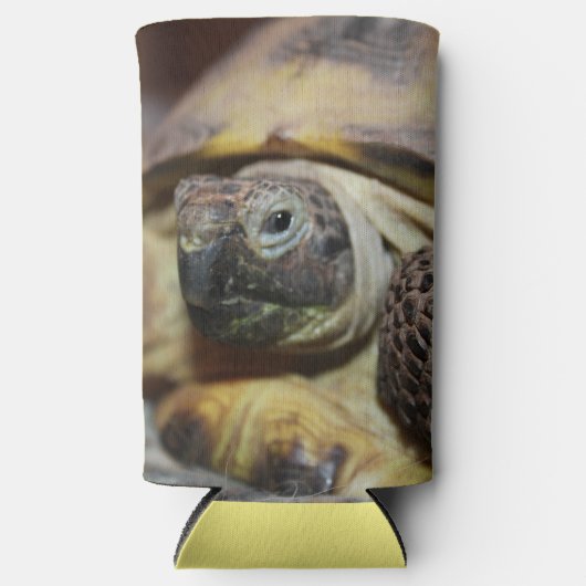 Tibbs Seltzer Blikjeskoeler (Voorkant)