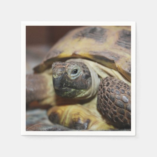 Tibbs Servet (Voorkant)