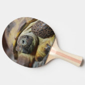 Tibbs Tafeltennisbatje (Zijkant)