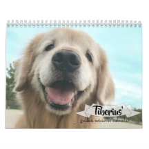 Tiberius' 2019 Golden Retriever AugieDoggy