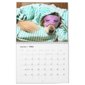 Tiberius' 2019 Golden Retriever AugieDoggy Kalender (Jan 2026)