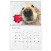 Tiberius' 2019 Golden Retriever AugieDoggy Kalender (Feb 2026)
