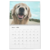 Tiberius' 2019 Golden Retriever AugieDoggy Kalender (Mar 2026)