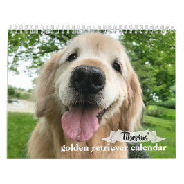 Tiberius' 2020 Golden Retriever Kalender