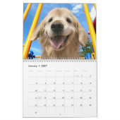 Tiberius' 2020 Golden Retriever Kalender (Jan 2027)