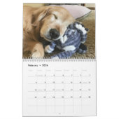 Tiberius' 2020 Golden Retriever Kalender (Feb 2026)