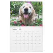 Tiberius' 2021 Golden Retriever Dog Calendar Kalender (Feb 2026)
