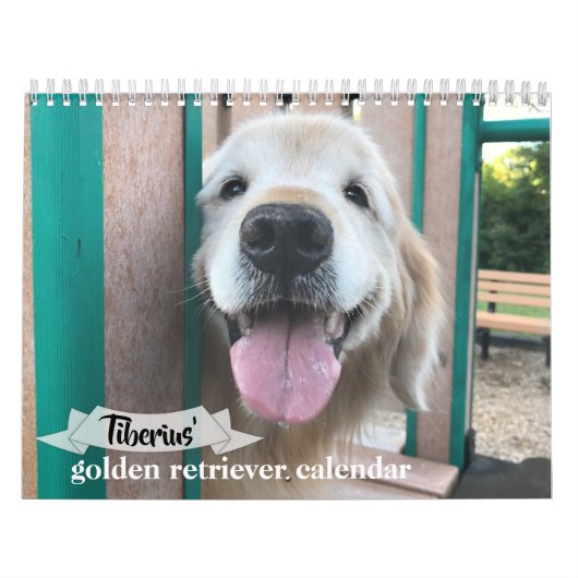 Tiberius' 2021 Golden Retriever Dog Calendar Kalender (Hoes)
