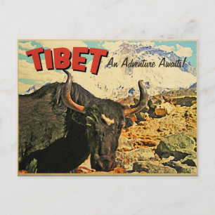 Tibet Adventure Awaits Ox Briefkaart