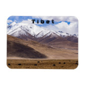 Tibet - Berglandschap met yaks Magneet (Horizontaal)