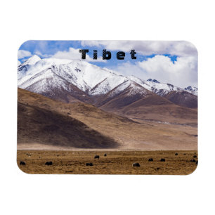 Tibet - Berglandschap met yaks Magneet