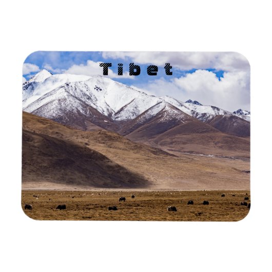 Tibet - Berglandschap met yaks Magneet (Horizontaal)