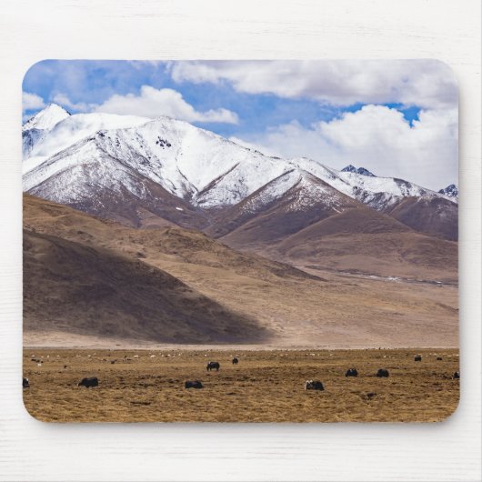 Tibet - Berglandschap met yaks Muismat (Voorkant)