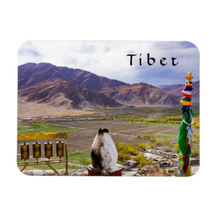 Tibet - Paleis Yumbulakhang Magneet