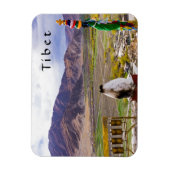 Tibet - Paleis Yumbulakhang Magneet (Verticaal)