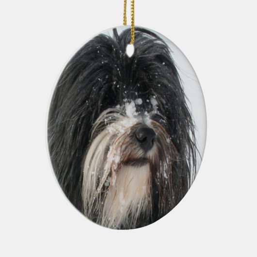 Tibet_Terrier.png Keramisch Ornament (Rechts)
