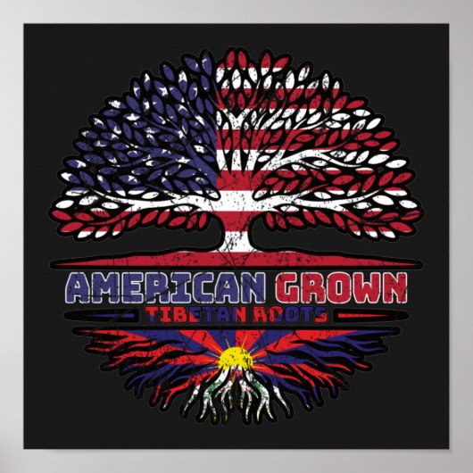 Tibetaans-Amerikaanse Tibetaanse vlag - Boomboomro Poster (Voorkant)