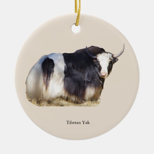Tibetaans jak ornament (Voorkant)