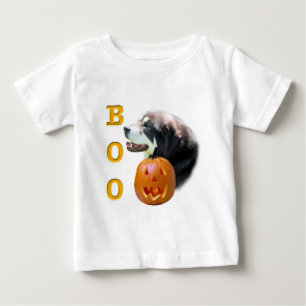 Tibetaans Mastiff Boo