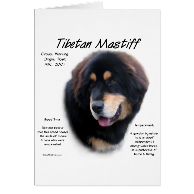 Tibetaans Mastiff Geschiedenis Ontwerp (Voorkant)