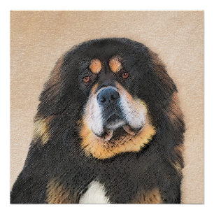 Tibetaans Mastiff schilderen - Kute Original Dog A Perfect Poster