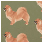 Tibetaans schiereiland (rood) stof (Close Up)