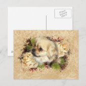 Tibetaans Spaniel Briefkaart (Voorkant / Achterkant)