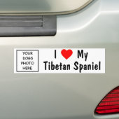 Tibetaans Spaniel Bumpersticker (Op auto)