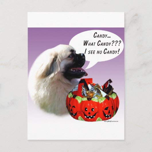 Tibetaans Spaniel Halloween Snoep Briefkaart (Voorkant)
