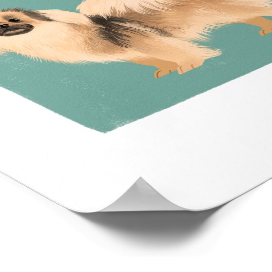 Tibetaans Spaniel Poster (12 verschillende tibbies (Hoek)