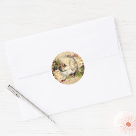 Tibetaans Spaniel Ronde Sticker (Envelop)