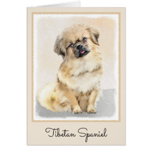 Tibetaans Spaniel Schilderen - Kute Original Dog A