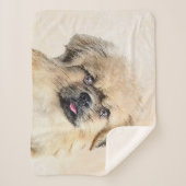 Tibetaans Spaniel Schilderen - Kute Original Dog A Sherpa Deken (Voorkant)