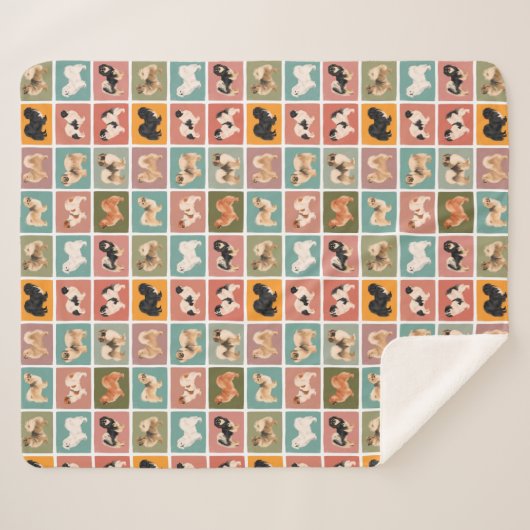 Tibetaans-Spanjaard met meerdere kleuren: Sherpa B Sherpa Deken (Voorkant (horizontaal))