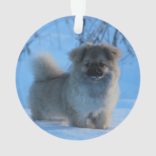 Tibetaans Spanje in de sneeuw Ornament (achterkant)