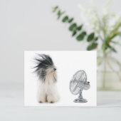 Tibetaanse doodsbang en zijn fan briefkaart (Staand voorkant)