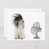 Tibetaanse doodsbang en zijn fan briefkaart (Voorkant / Achterkant)