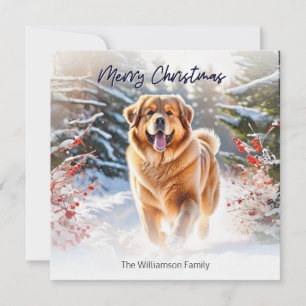Tibetaanse Mastiff Hond In Sneeuw Scene Gelukkig K Feestdagenkaart