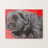 Tibetaanse Mastiff Hond Legpuzzels. Legpuzzel (Horizontaal)