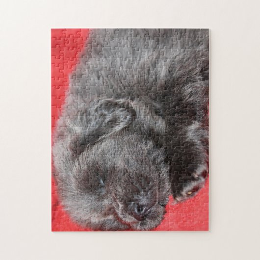 Tibetaanse Mastiff Hond Legpuzzels. Legpuzzel (Verticaal)