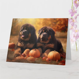 Tibetaanse Mastiff Puppy Herfst Delight Pompoen Kaart