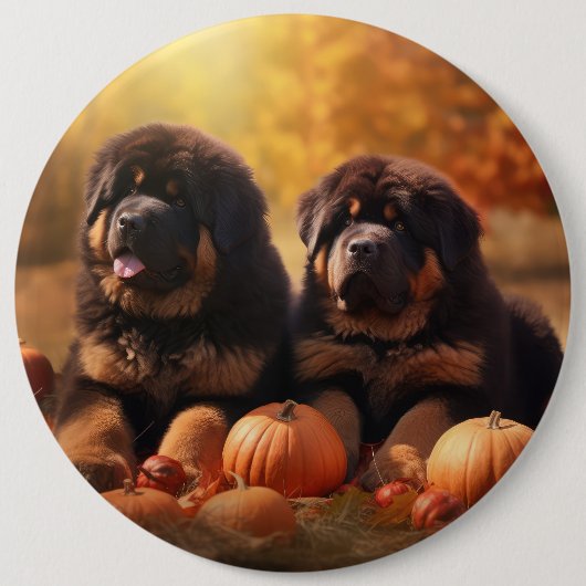 Tibetaanse Mastiff Puppy Herfst Delight Pompoen Ronde Button 6,0 Cm (Voorkant)