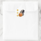 Tibetaanse spaniël Boo Ronde Sticker (Tas)