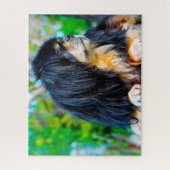 Tibetaanse Spaniel Honden Legpuzzels. Legpuzzel (Verticaal)