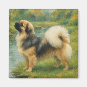 Tibetaanse Spaniel Magneet (Voorkant)