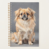 Tibetaanse Spaniel Planner (Voorkant)