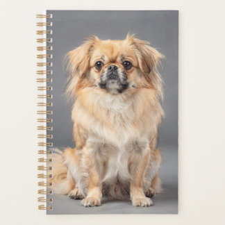 Tibetaanse Spaniel Planner