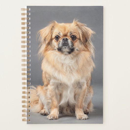 Tibetaanse Spaniel Planner (Voorkant)
