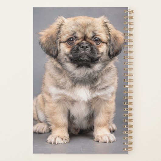 Tibetaanse Spaniel Planner (Achterkant)
